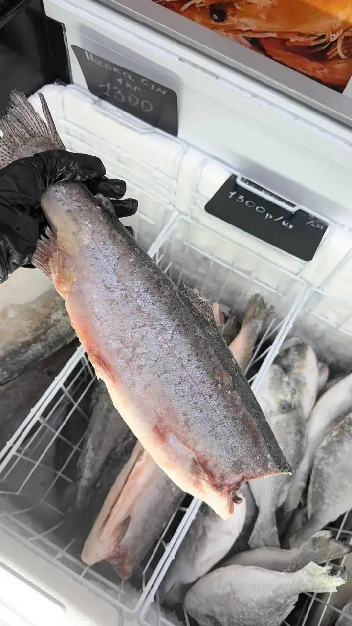 Заморозка и морепродукты